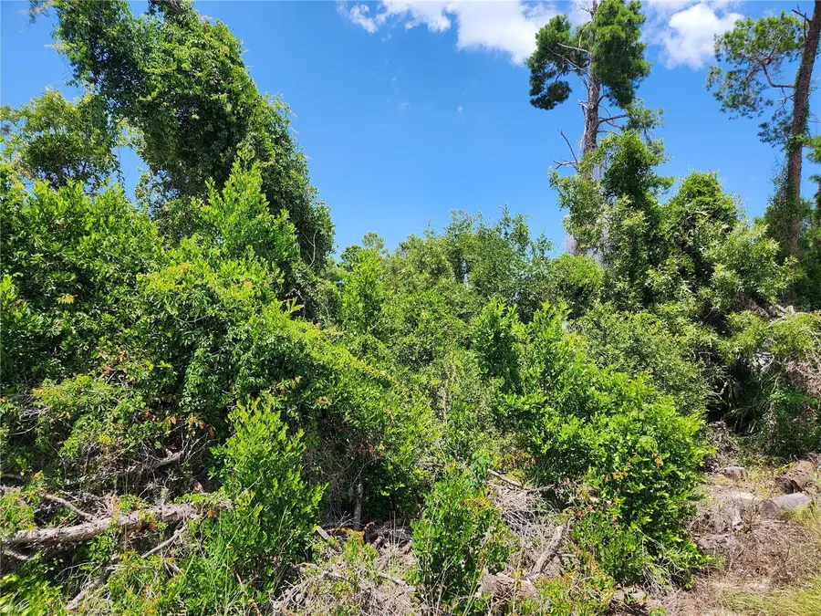 6241 Mariner Boulevard #Lot 31, Spring Hill, FL 34609 - #2