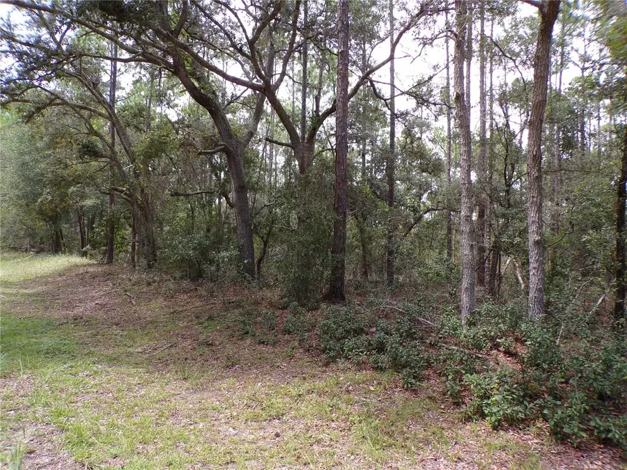 601 E Marquette Lane, Citrus Springs, FL 34434 - #3