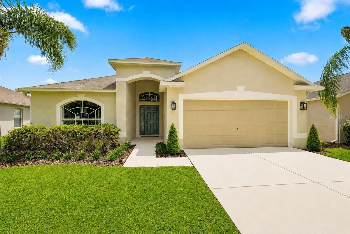 31251 Baclan Drive, Wesley Chapel, FL 33545 - #1
