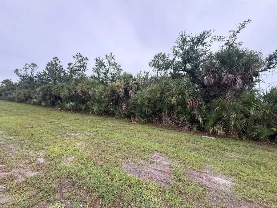 13241 Appleton Boulevard, Port Charlotte, FL 33981 - #3