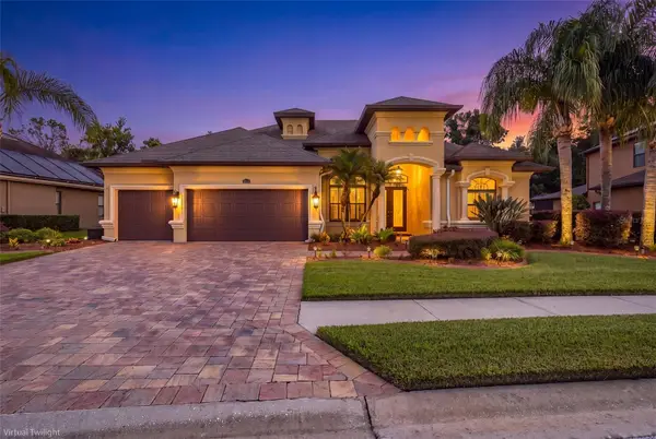 15312 Azra Drive, ODESSA, FL 33556
