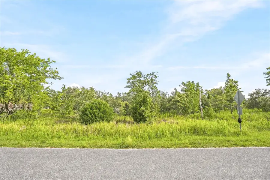 0 Ester Drive, Brooksville, FL 34613 - #3