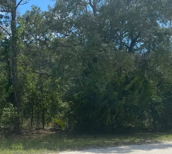 Peaceful Avenue, WEEKI WACHEE, FL 34614