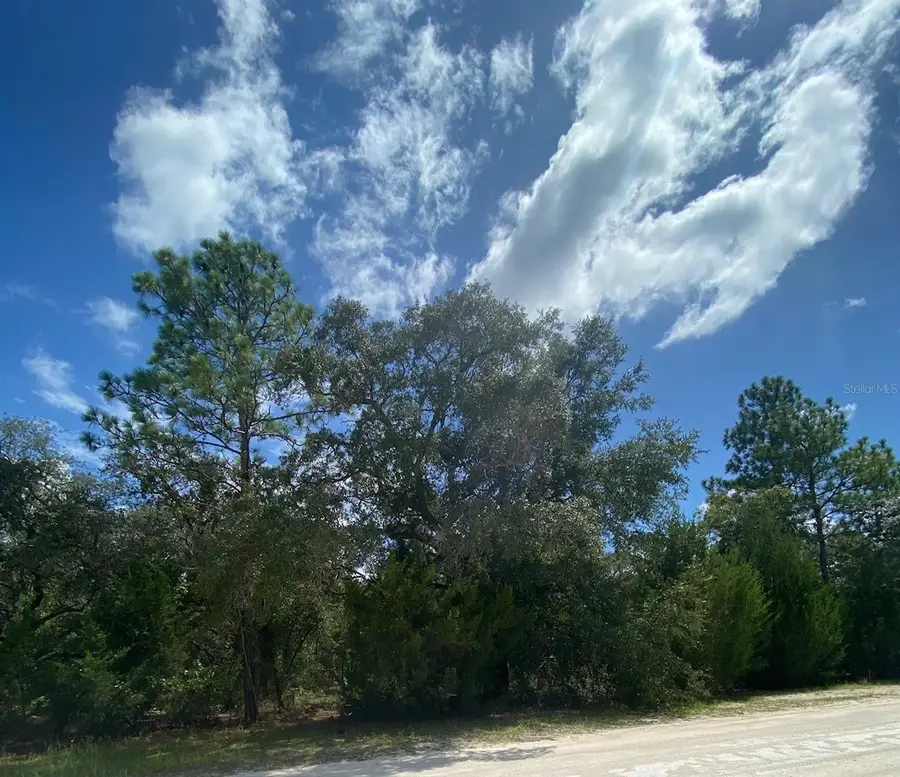 Peaceful Avenue, Weeki Wachee, FL 34614 - #2