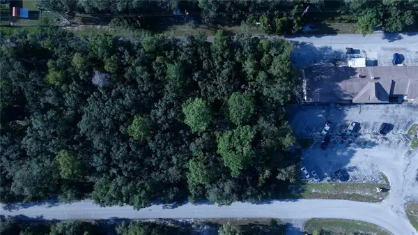 1347 Kass Circle, SPRING HILL, FL 34606