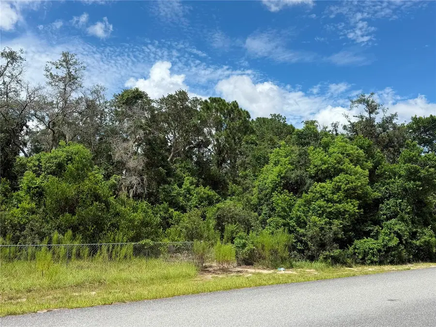12365 Barrow Street, Spring Hill, FL 34609 - #3
