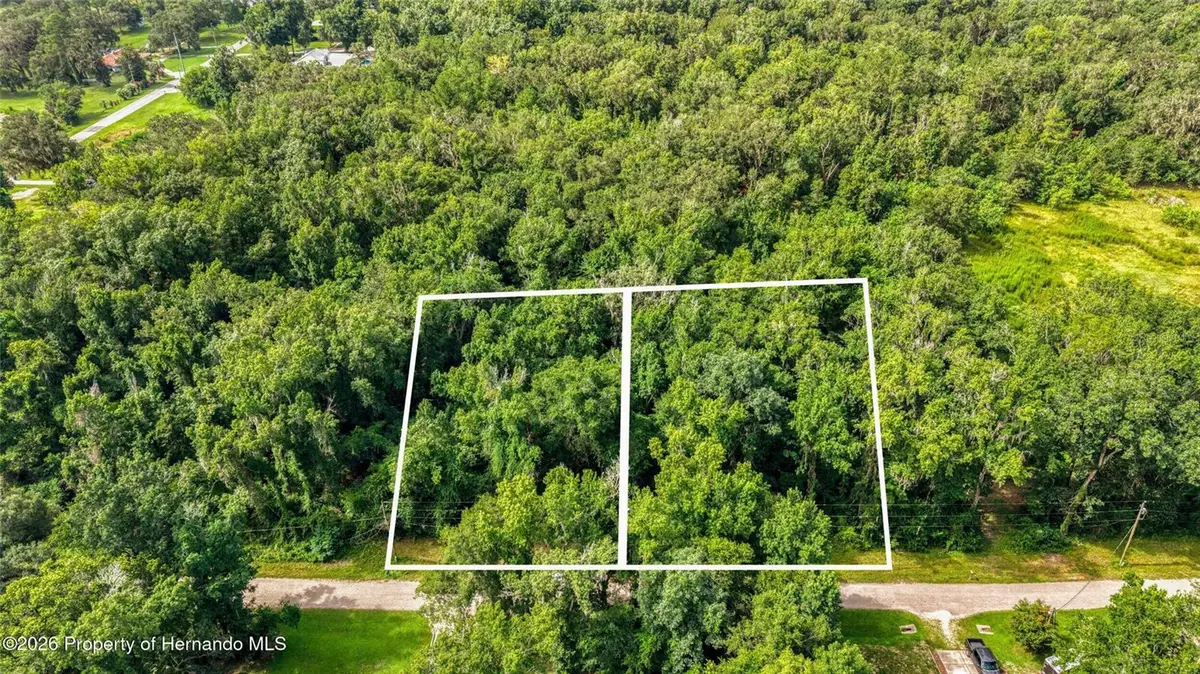 23186 Fitzhugh Avenue, Brooksville, FL 34601 - #1