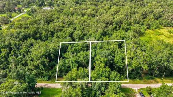 23186 Fitzhugh Avenue, BROOKSVILLE, FL 34601