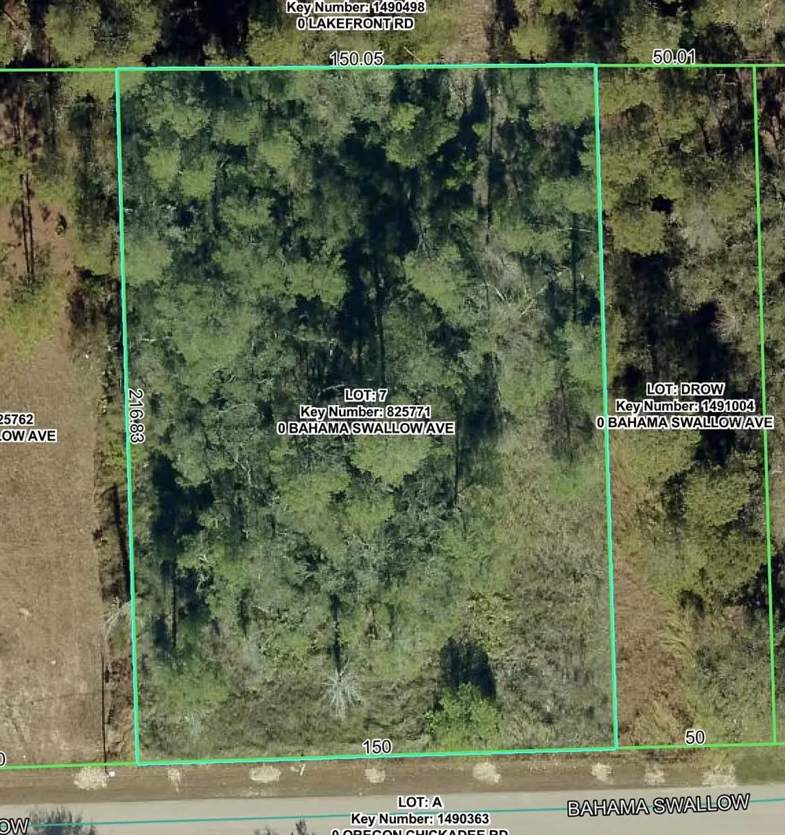 7277 Bahama Swallow Avenue, Weeki Wachee, FL 34613 - #1