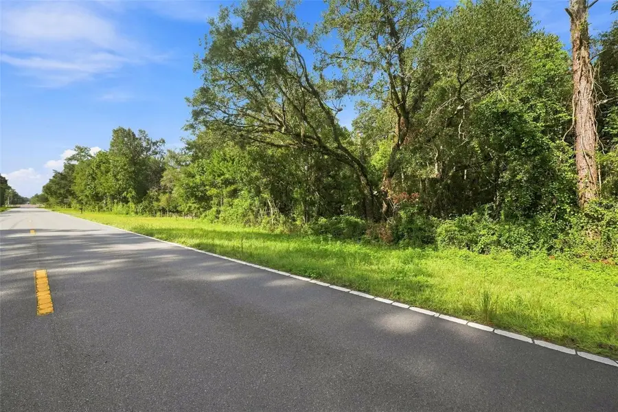 00 Lot37.4 Emerson Road, Brooksville, FL 34601 - #3