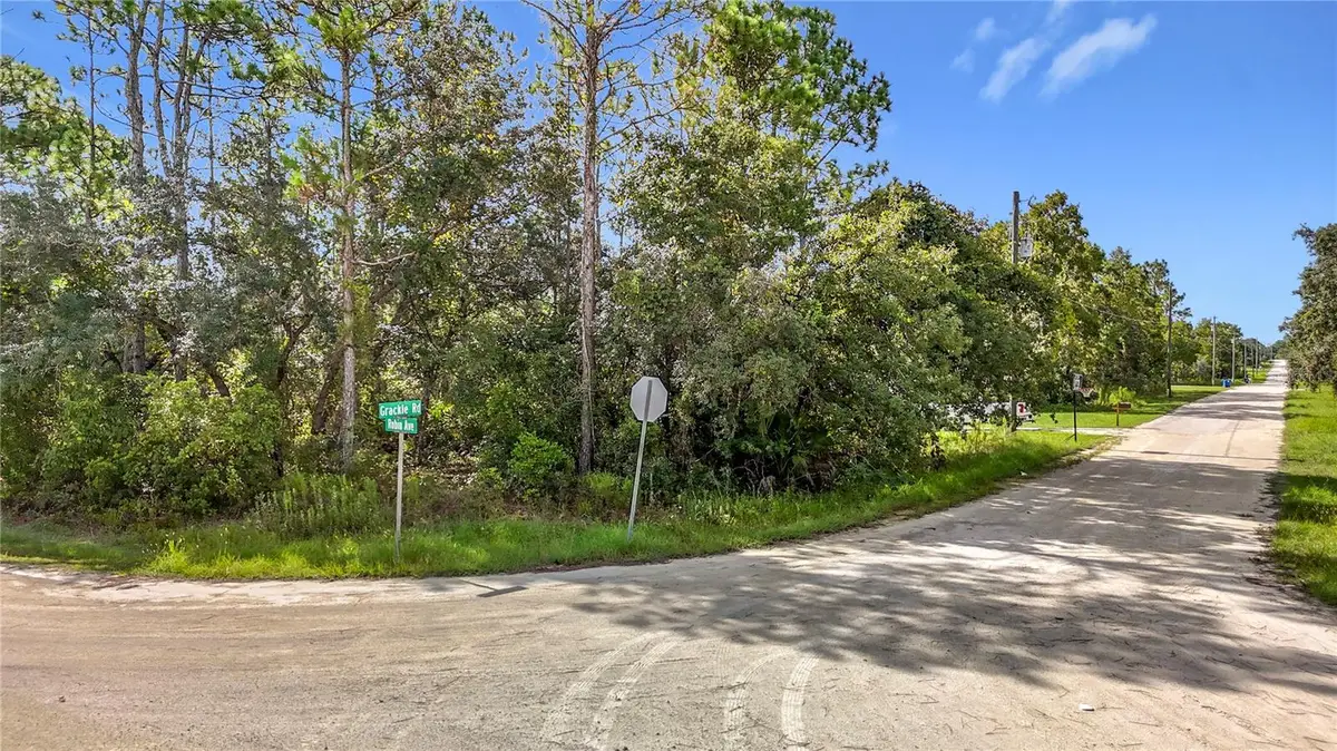 13542 Robin Avenue, Weeki Wachee, FL 34614 - #1