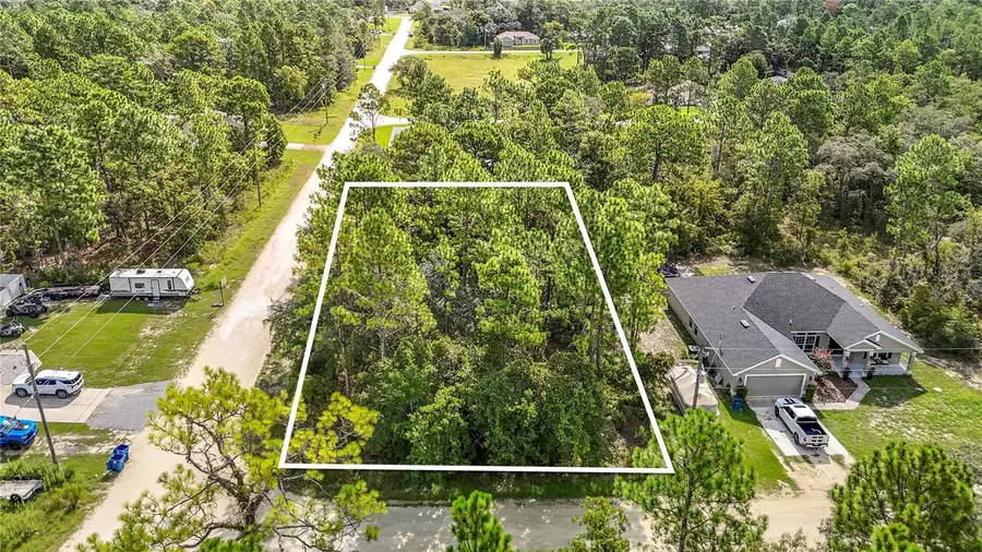 13542 Robin Avenue, Weeki Wachee, FL 34614 - #2