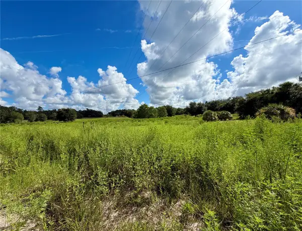 13331 Treaty Road, SPRING HILL, FL 34610