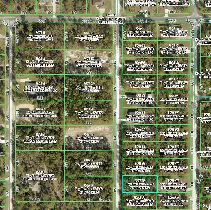 Malden Road, Weeki Wachee, FL 34614 - #3