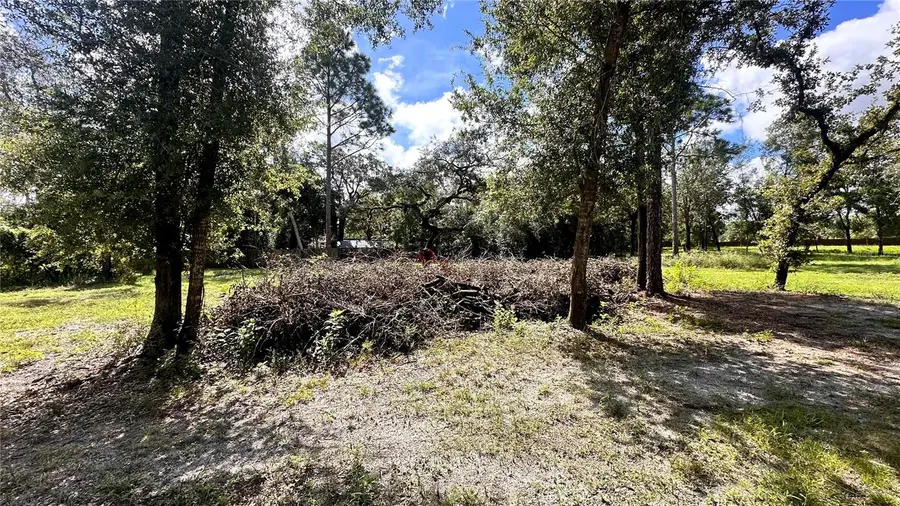 14535 Little Ranch Road, Spring Hill, FL 34610 - #3