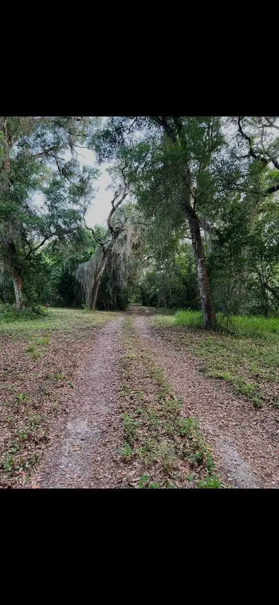 20231 Painter Place Place, Spring Hill, FL 34610 - #1