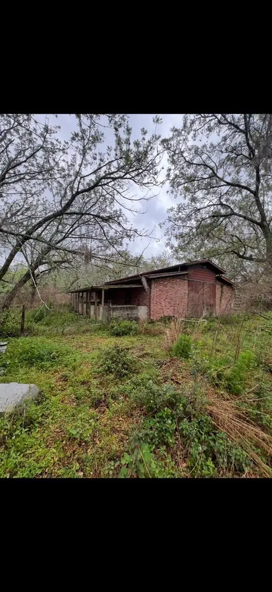 20231 Painter Place Place, Spring Hill, FL 34610 - #3