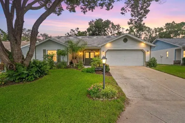 6342 Pine Meadows Drive, SPRING HILL, FL 34606