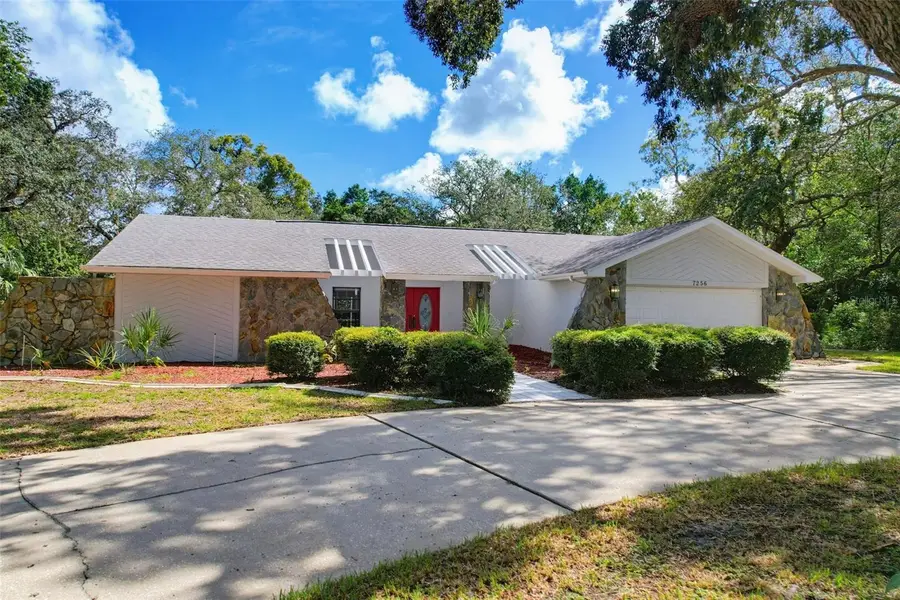 7256 Royal Oak Drive, Spring Hill, FL 34607 - #3