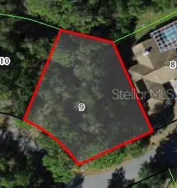 24 Wild Olive Court, Homosassa, FL 34446 - #1