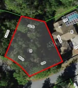 24 Wild Olive Court, Homosassa, FL 34446 - #2