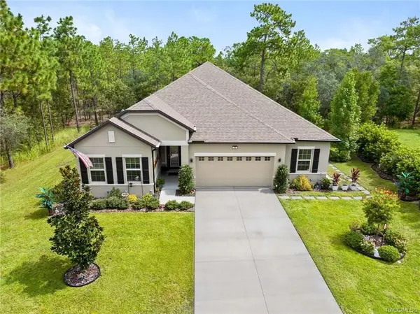16 Elder Court E, HOMOSASSA, FL 34446