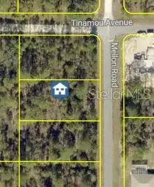 Mellon Road, Weeki Wachee, FL 34614 - #1