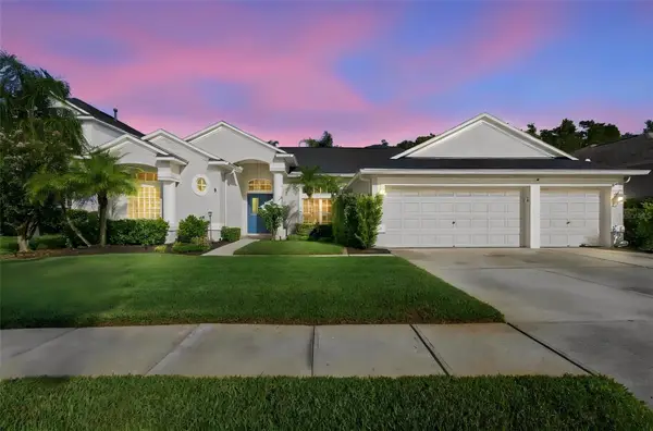 3125 Ashmonte Drive, LAND O LAKES, FL 34638
