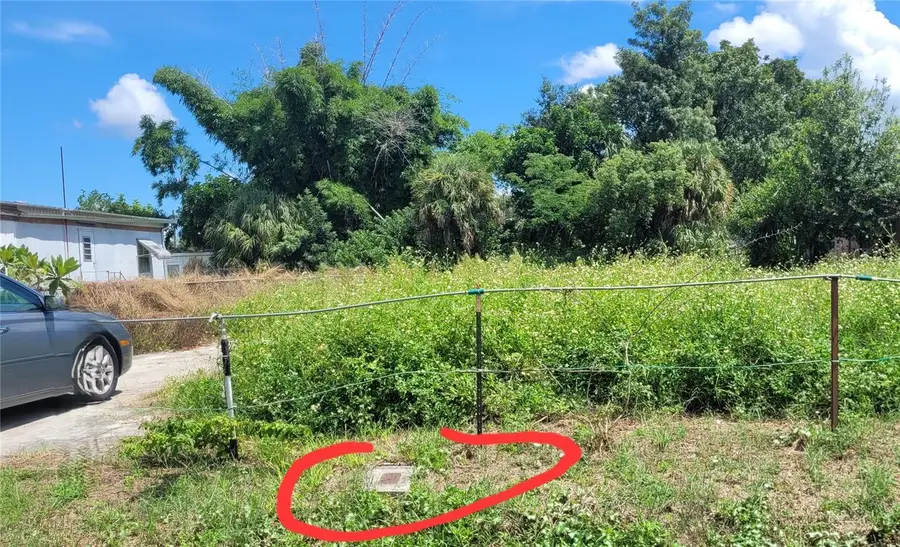 4965 Elizabeth Avenue, Sarasota, FL 34233 - #2