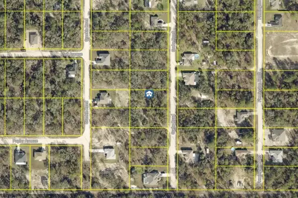 LOT 16 Grebe Road, WEEKI WACHEE, FL 34614