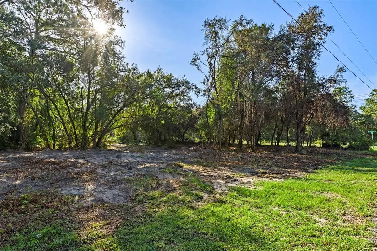 6669 W Cardinal Street, Homosassa, FL 34446 - #1