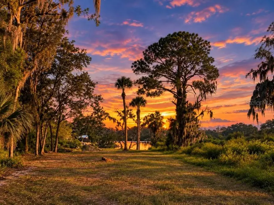 Tiberius Trail, New Port Richey, FL 34652 - #2