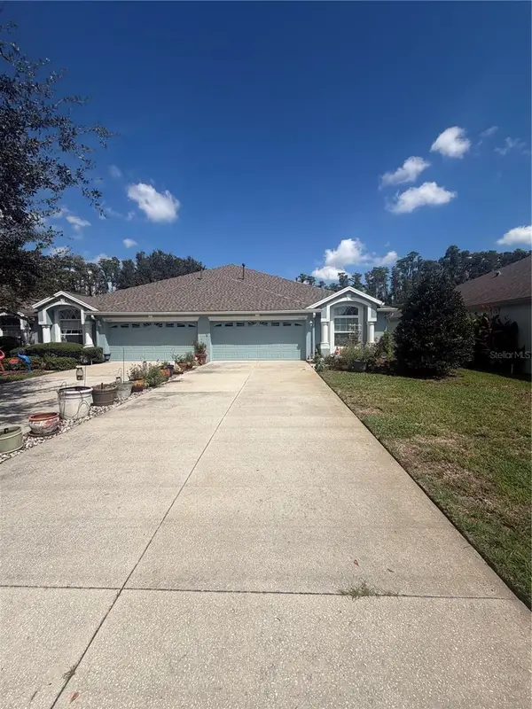 19339 Everton Place, LAND O LAKES, FL 34638