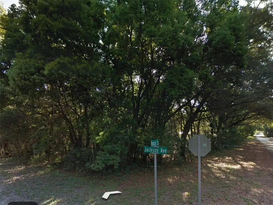 0 Jackson Avenue, Brooksville, FL 34604 - #2