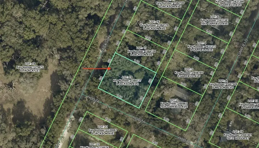 0 Jackson Avenue, Brooksville, FL 34604 - #3