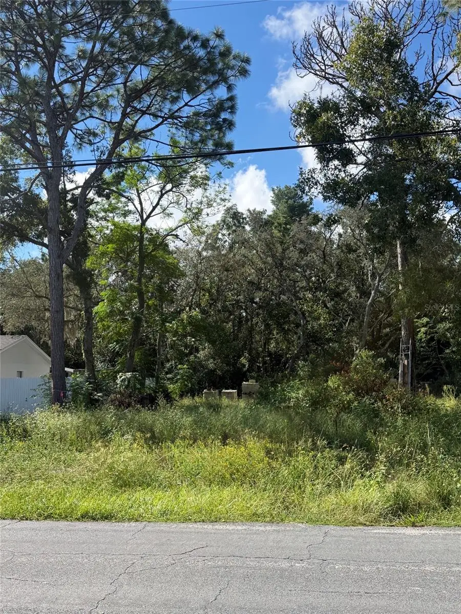 7454 Apache Trail, Spring Hill, FL 34606 - #2