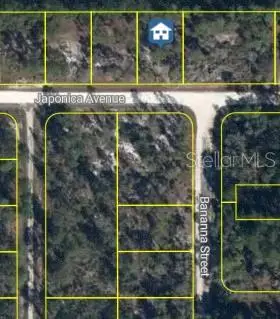 3021 Japonica Avenue, LAKE PLACID, FL 33852