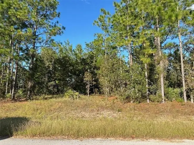 9 & 11 Poppy Street, Homosassa, FL 34446 - #1