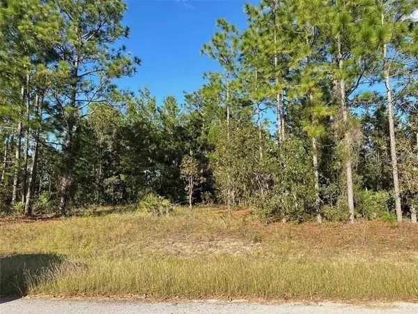 9 & 11 Poppy Street, HOMOSASSA, FL 34446