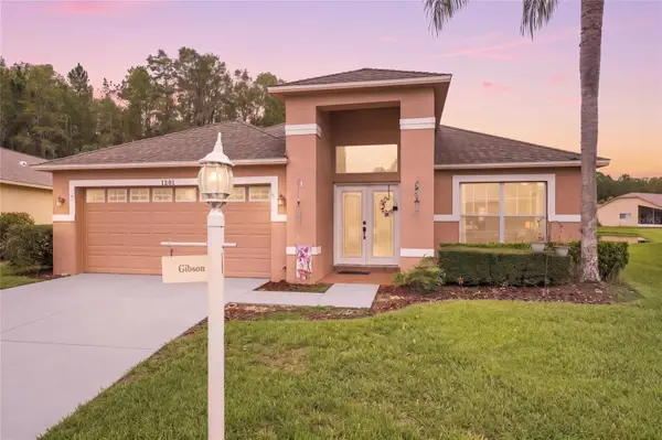 1201 Dustan Place, TRINITY, FL 34655