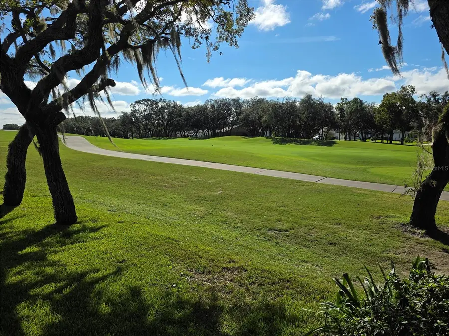 7358 Woodhollow Road, Spring Hill, FL 34606 - #2