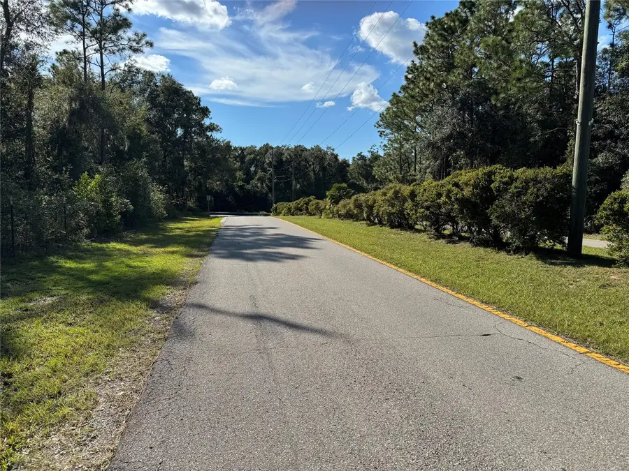 12434 S Canna Point, Floral City, FL 34436 - #3