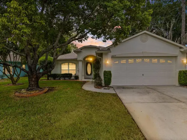 11829 Ivywood Place, NEW PORT RICHEY, FL 34654