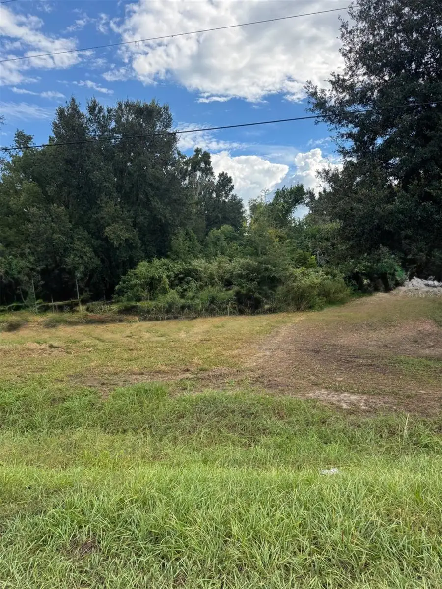 23154 Foreside Avenue, Brooksville, FL 34601 - #2