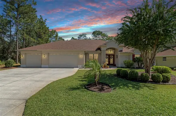 15 Cupania Court, HOMOSASSA, FL 34446
