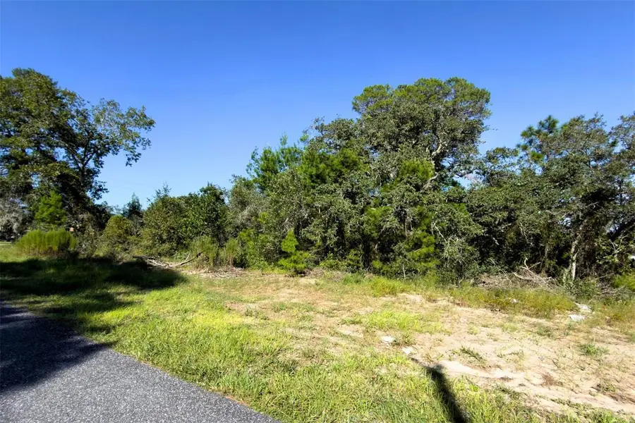 3098 Pintado Avenue, Spring Hill, FL 34609 - #2