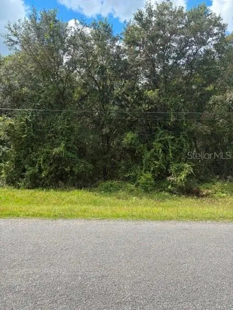 5177 Culbreath Road, Brooksville, FL 34601 - #2