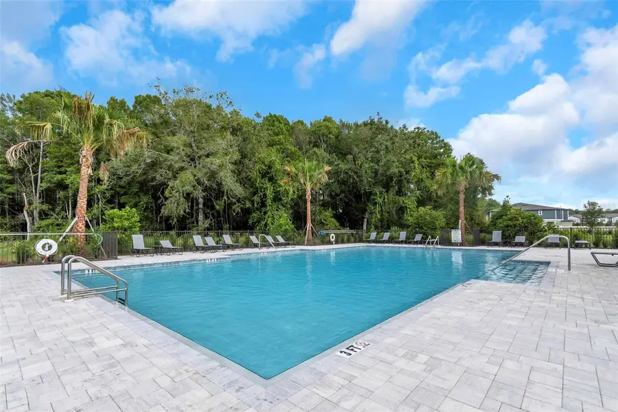 11166 Crescent Deer Drive, Land O Lakes, FL 34638 - #3