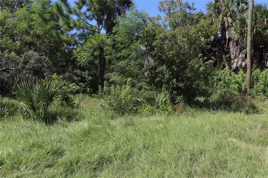 10501 Pine Island Drive, Weeki Wachee, FL 34607 - #2