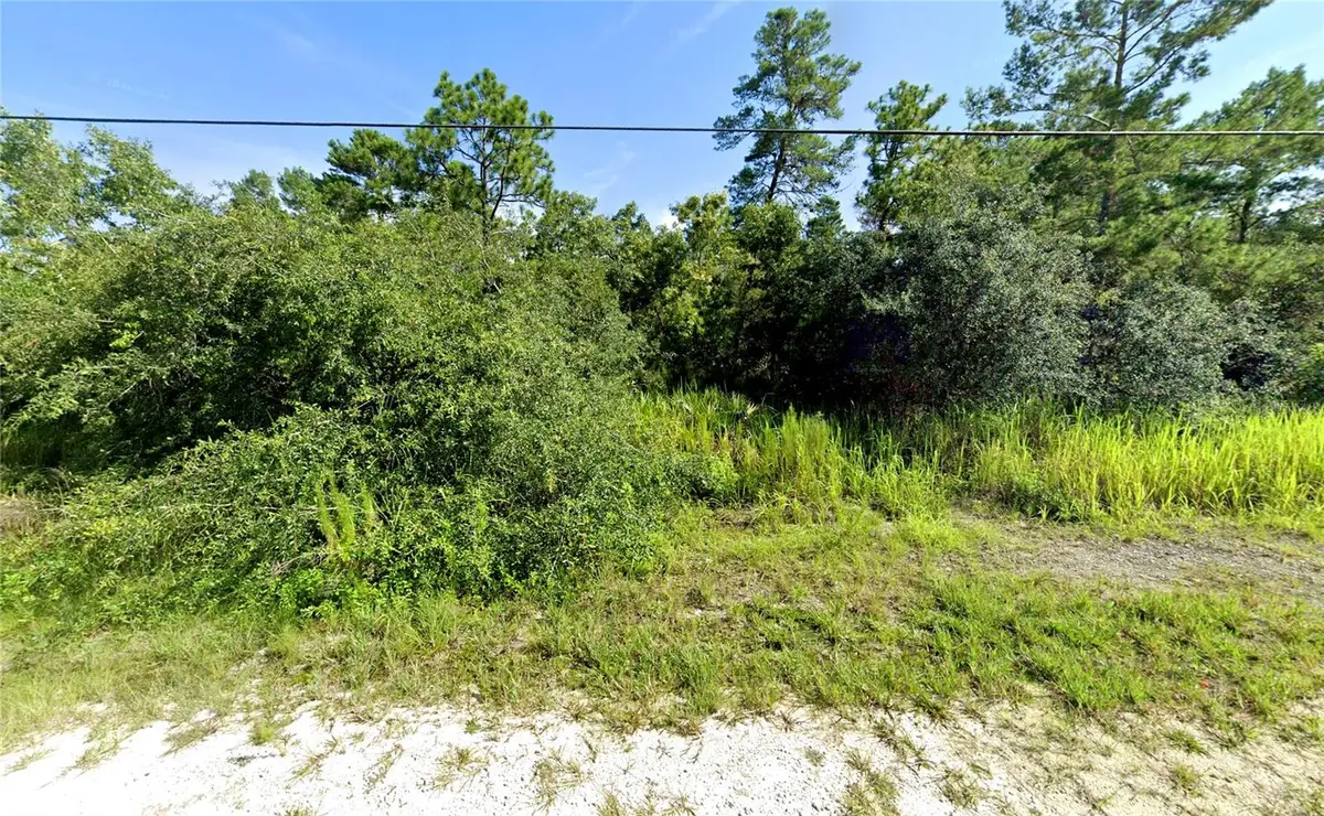 7301 Bahama Swallow Avenue, Weeki Wachee, FL 34613 - #1